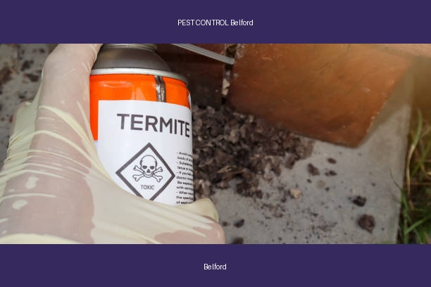PEST CONTROL Belford